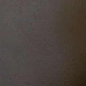 Meet your Posher, Jae